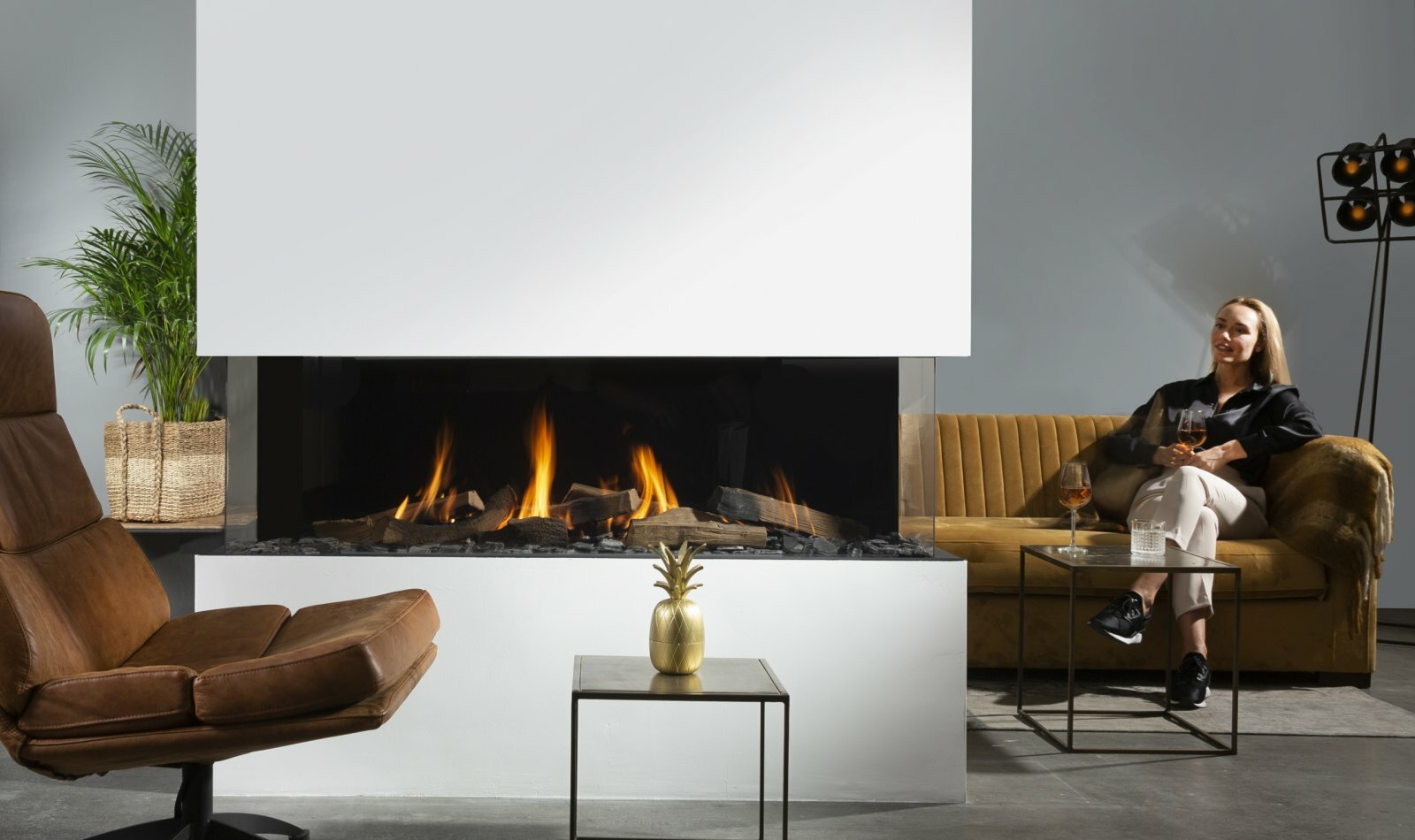 van-der-pluijm-verwarming-bio-ethanol-haarden